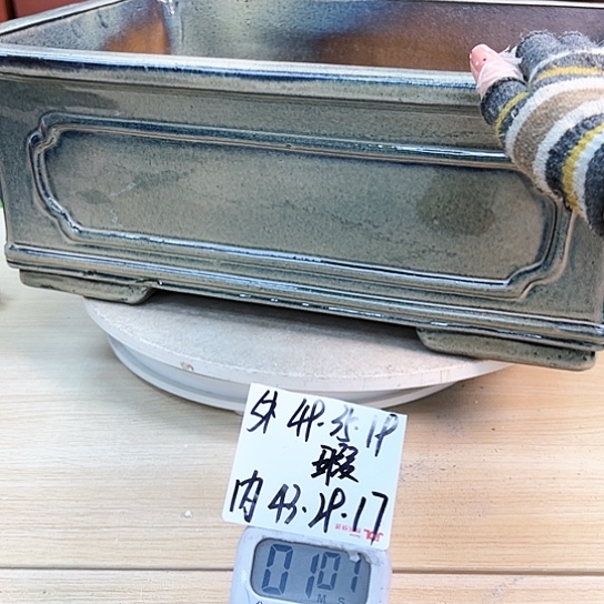 红陶南**哥紫砂花盆里放的