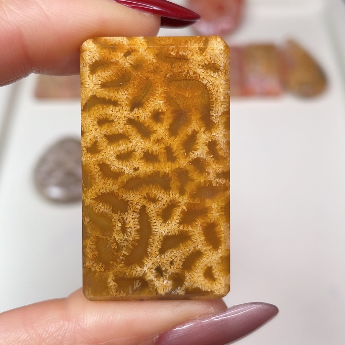 【闪购商品】未镶嵌吊坠(赠链)硅化玉