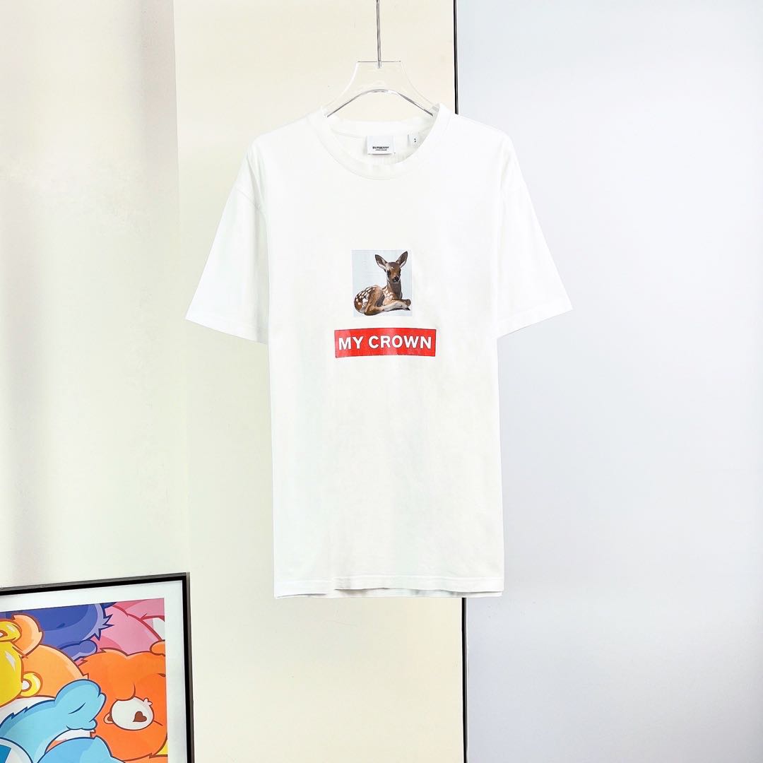 95新/Burberry /短袖T恤 /S码/Xspt099