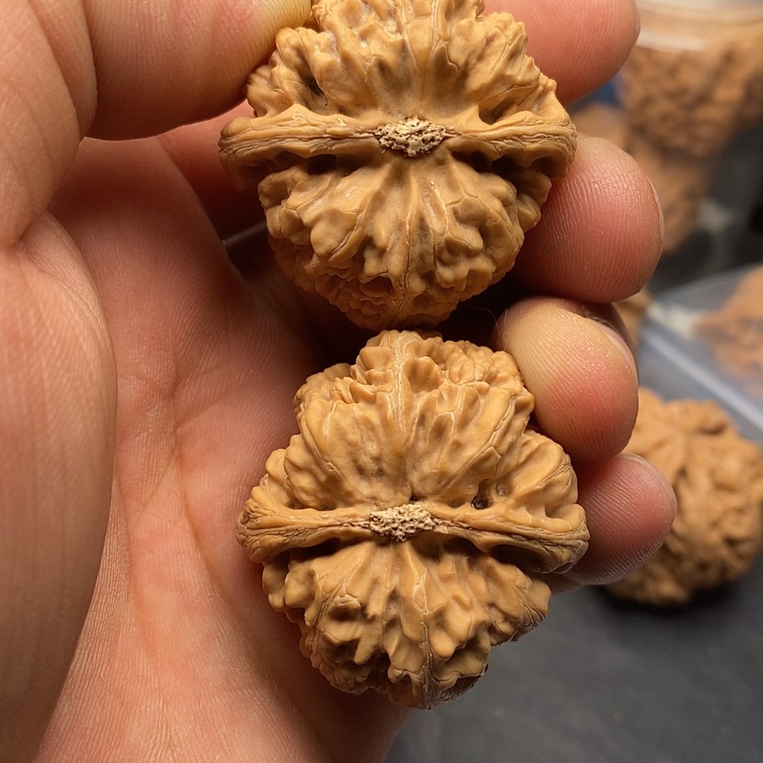 文玩核桃把件在*粗筋39