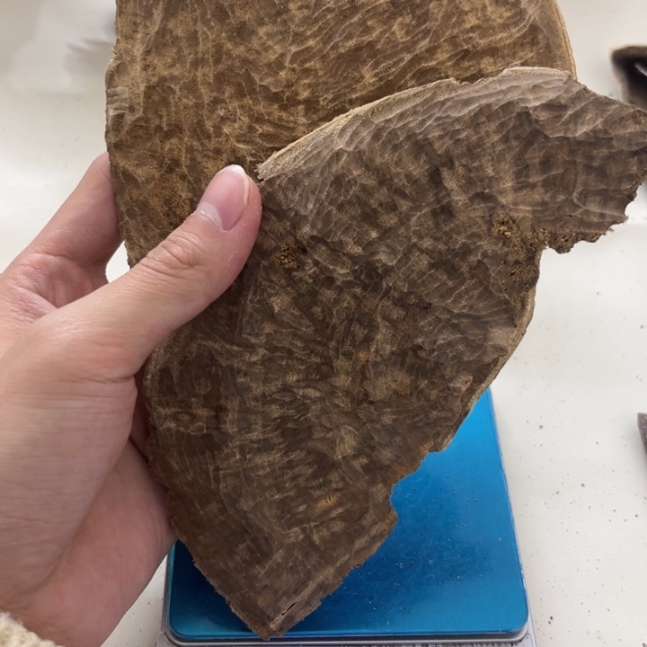 沉香沉香木制品海南沉香野生老头59克