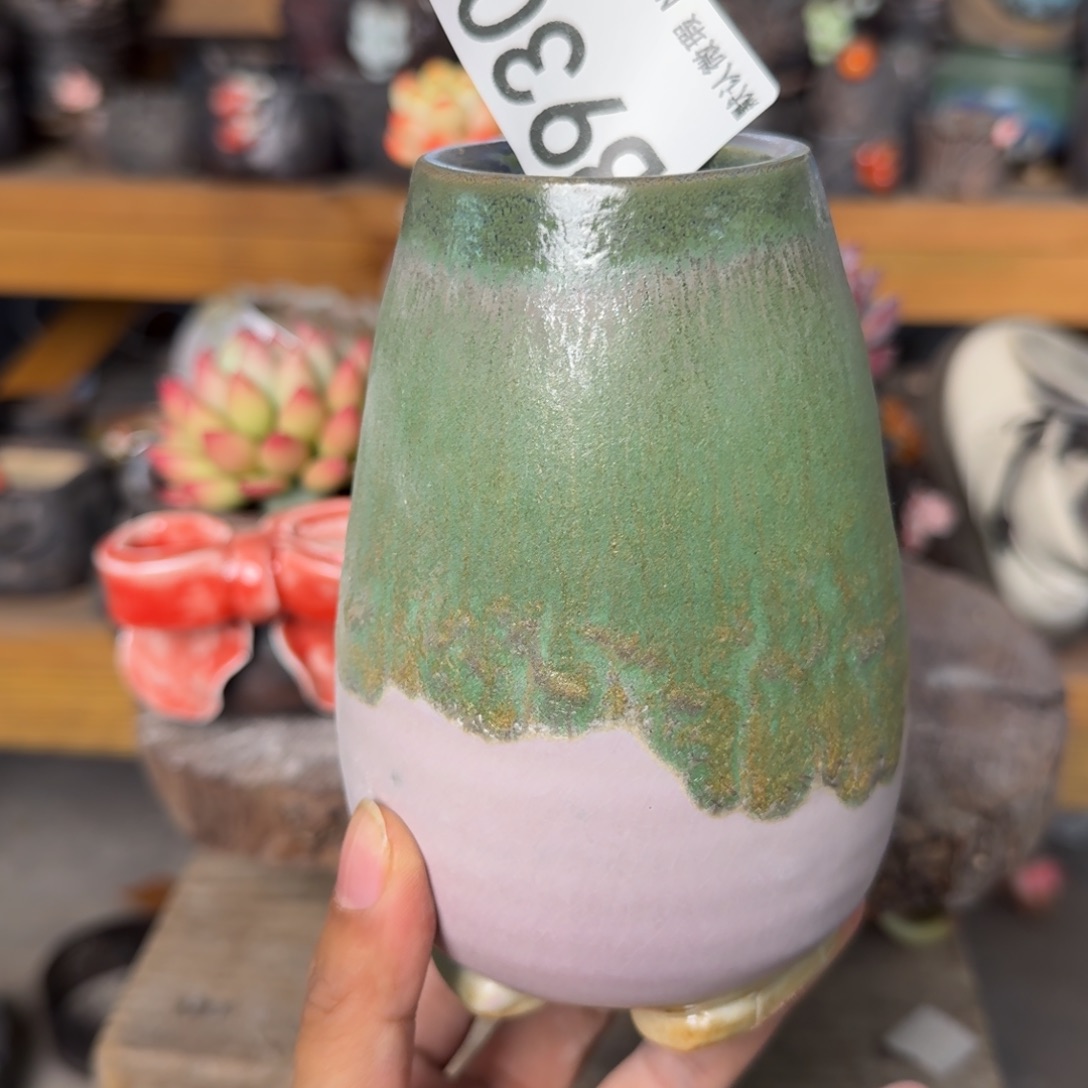 重庆小燕子欢迎大家930