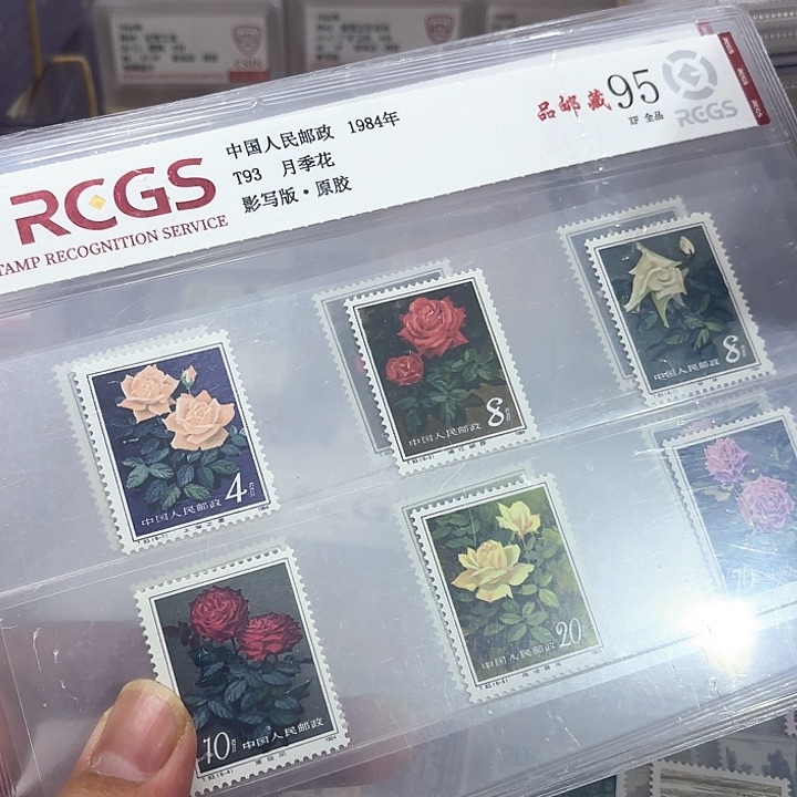 T93月季花邮票中钱国信95片