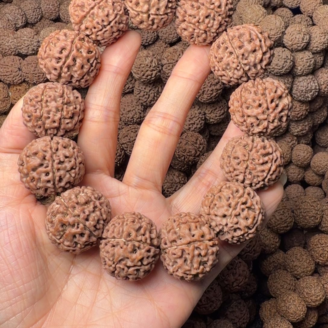 手串金刚菩提8瓣卡26尺，27号