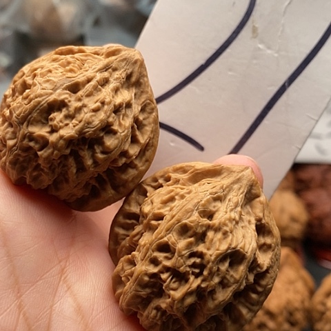 吊坠桃核38全品火焰马蹄