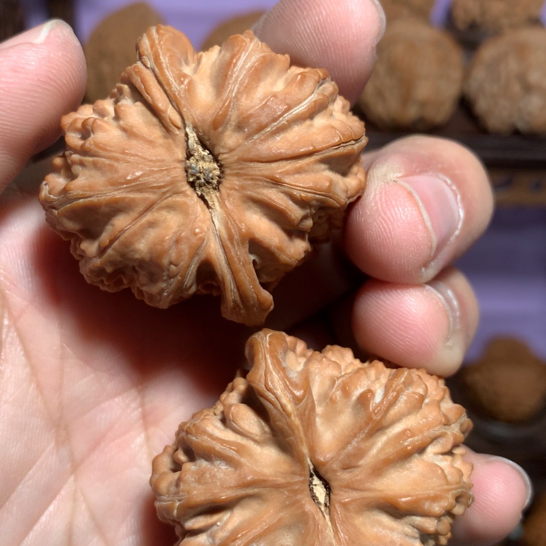 文玩核桃把件陈*陈晨哥专拍白狮子二选一