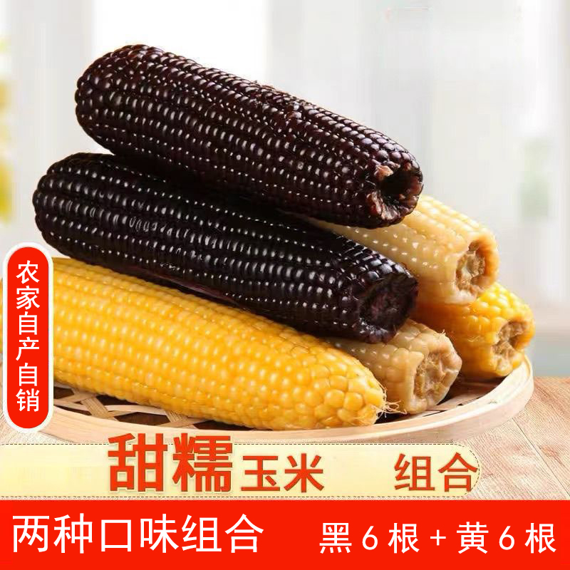 特价头茬黑黄组合12根5-6斤】东北黑糯玉米棒新鲜代餐黑甜糯真空装