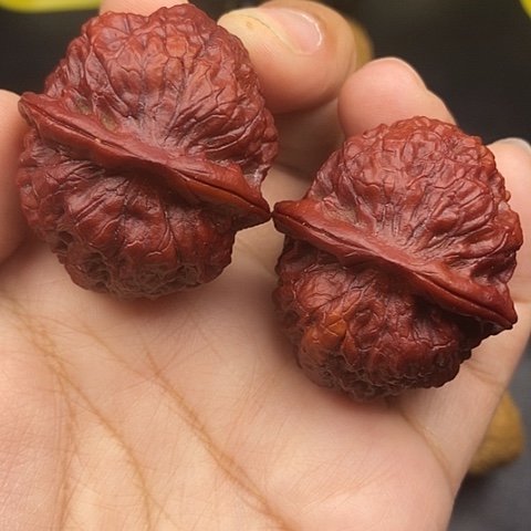 文玩核桃把件40尺狮子