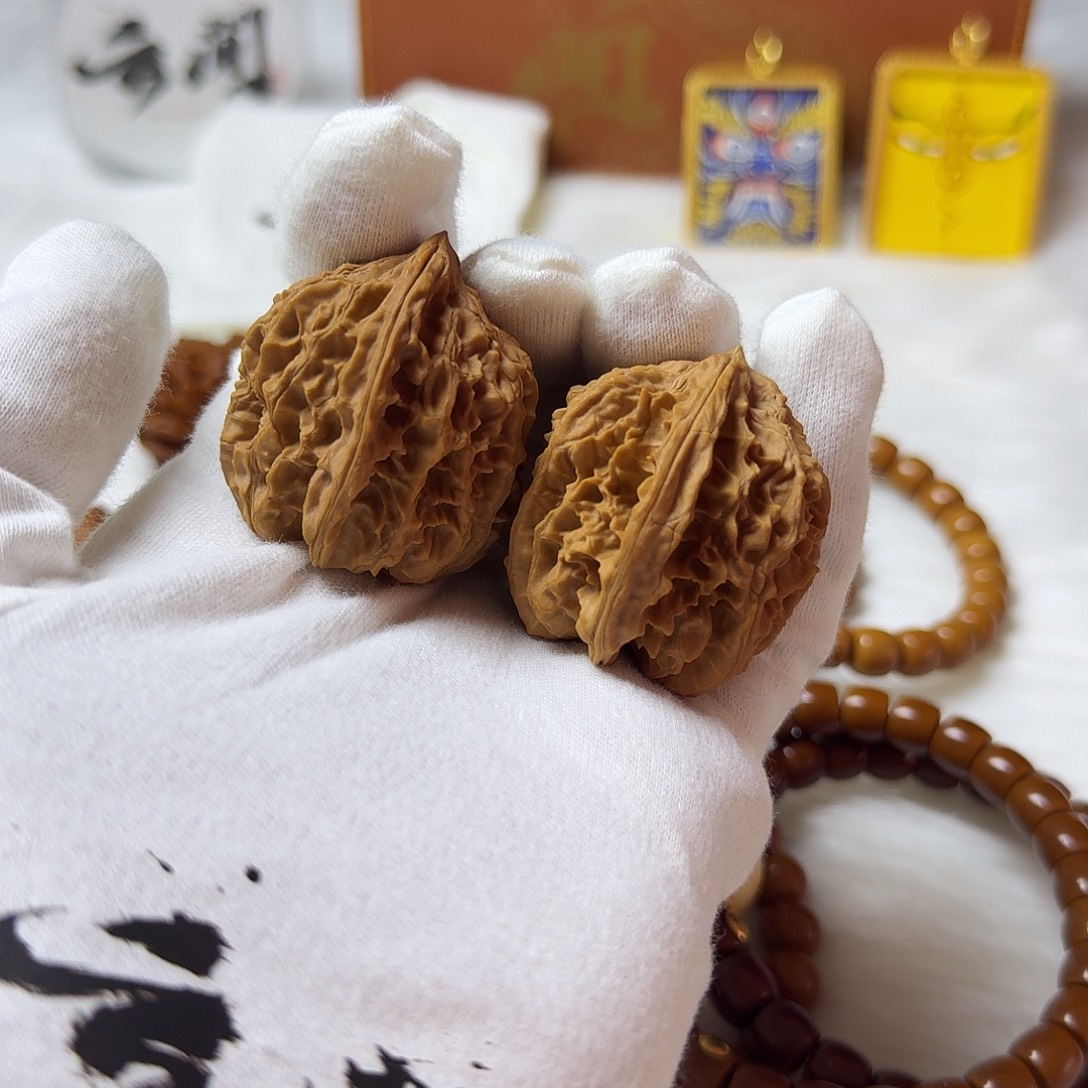 文玩核桃野生品种