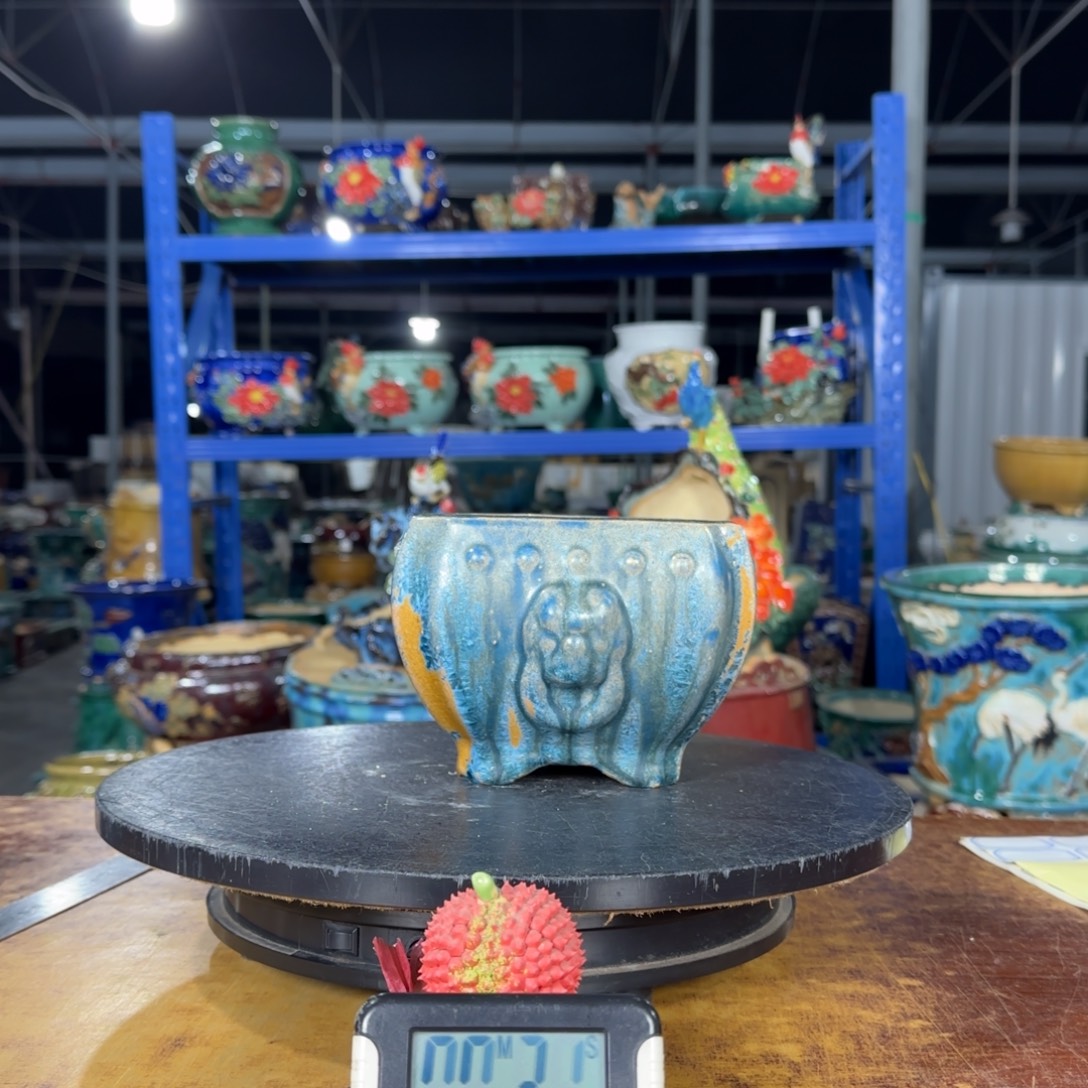 上利亚限时体验款