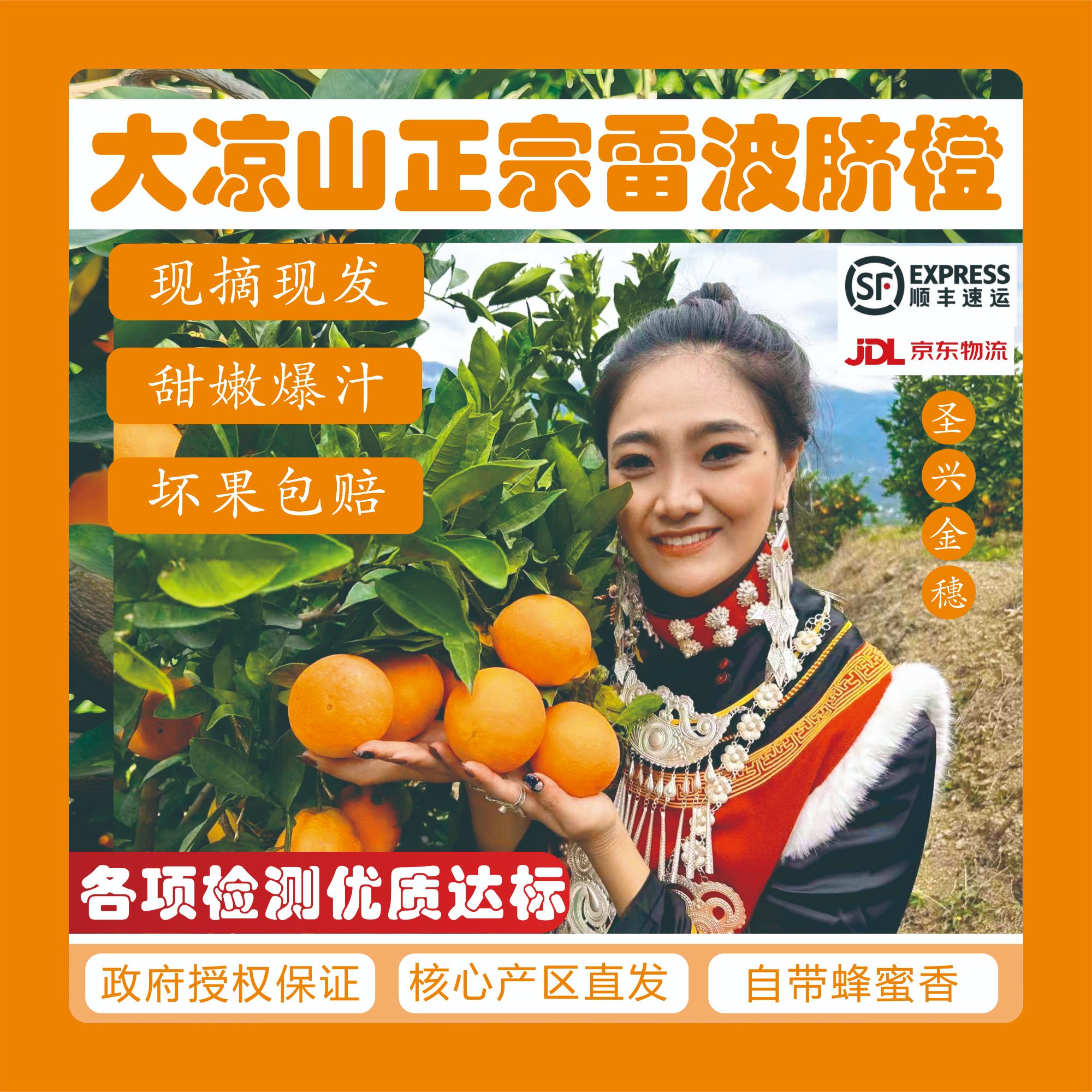 【京东】高端礼盒装 大凉山雷波脐橙火地波波橙送礼礼盒四川省