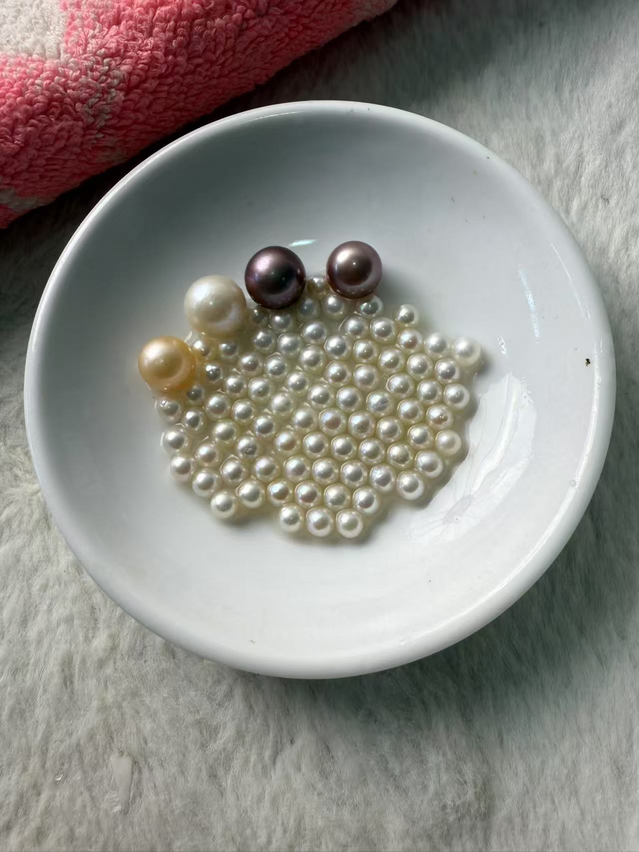 白月光AK蚌（活体开蚌不退不换）可diy定制成品