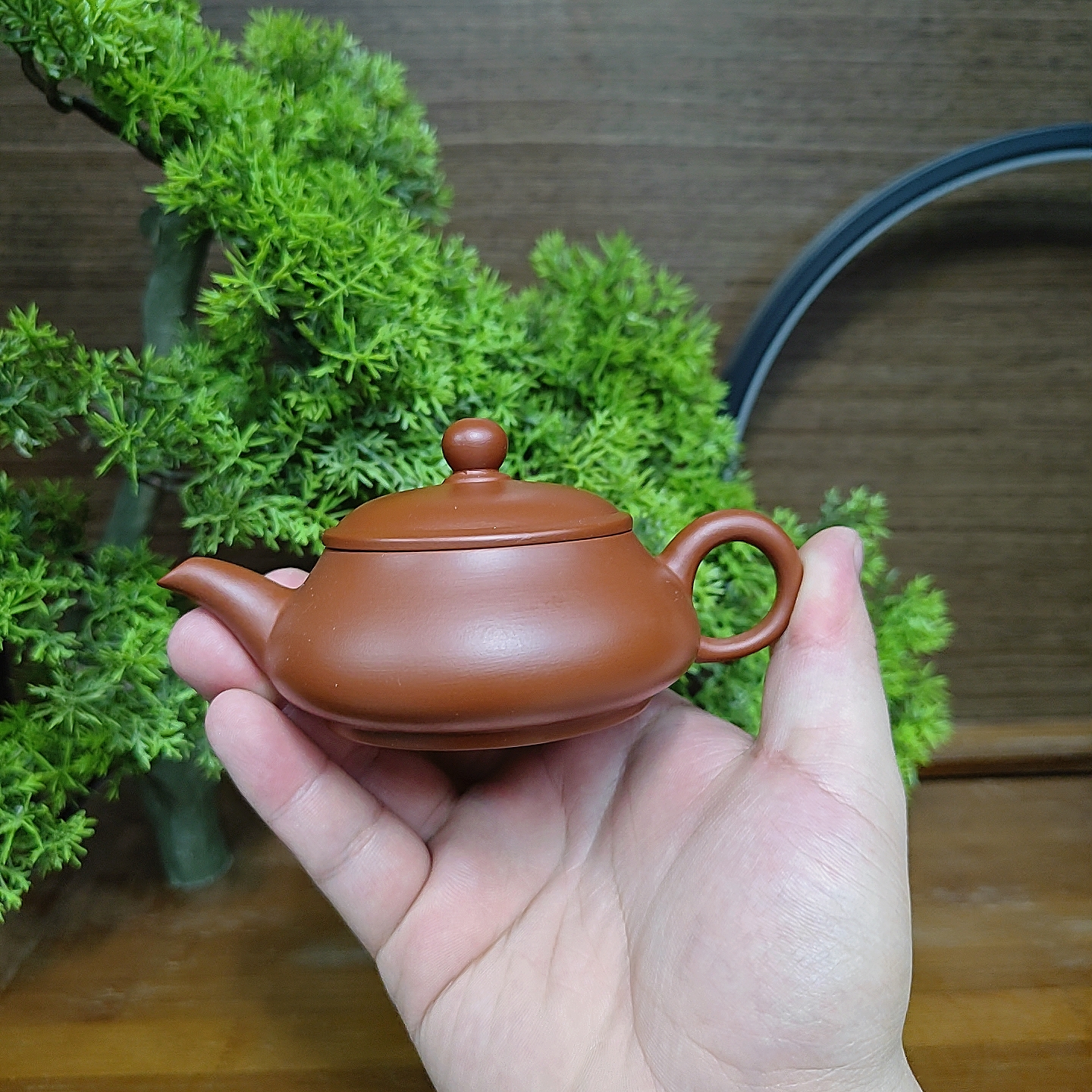 潮州朱泥手拉壶明炉壶5.5公分大口径实用器型纯手工拉胚100毫升