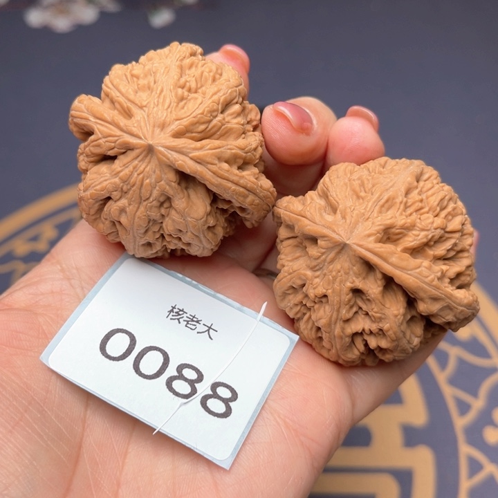 文玩核桃把件46大粗筋