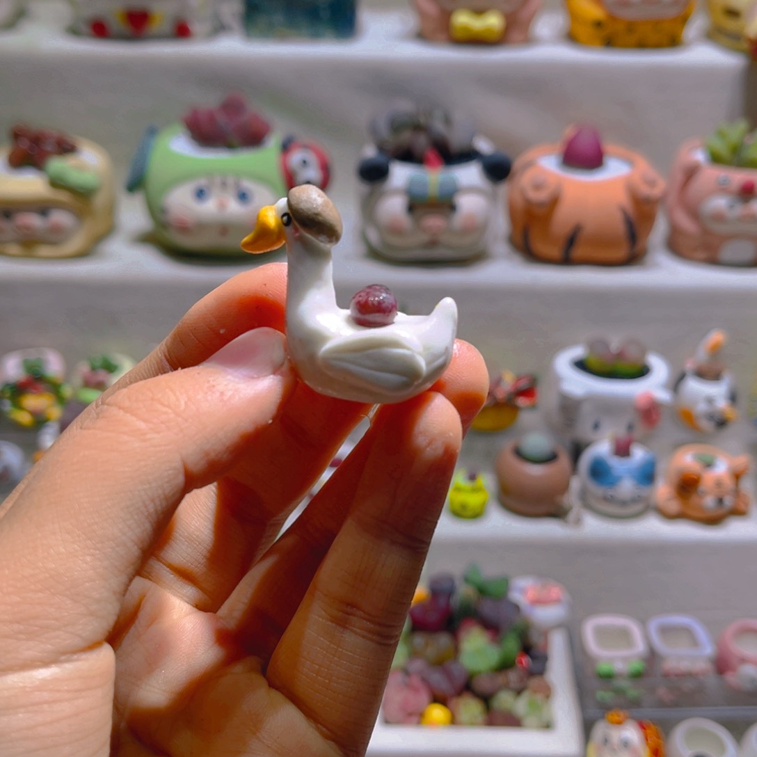 用****7用户专属折扣链接拍拍