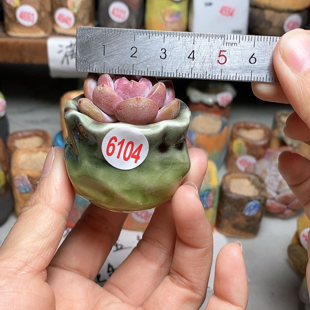 红陶处理的，处理