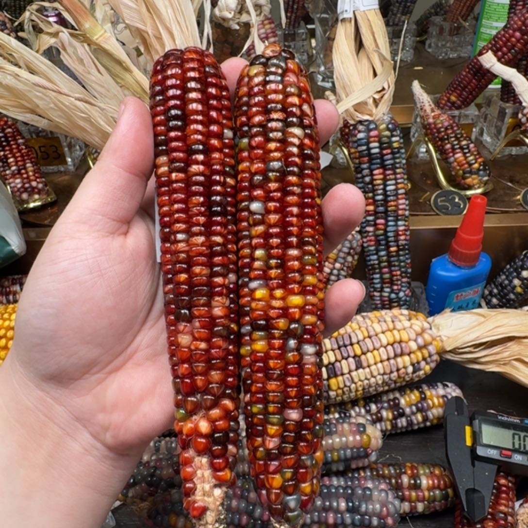 柏香籽/百香籽吊坠陈*七