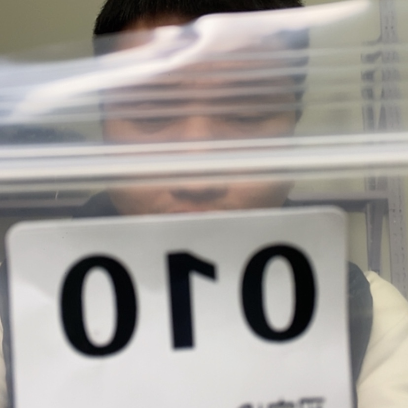 【闪购商品】核桃木/黑胡桃（胡桃木）010大