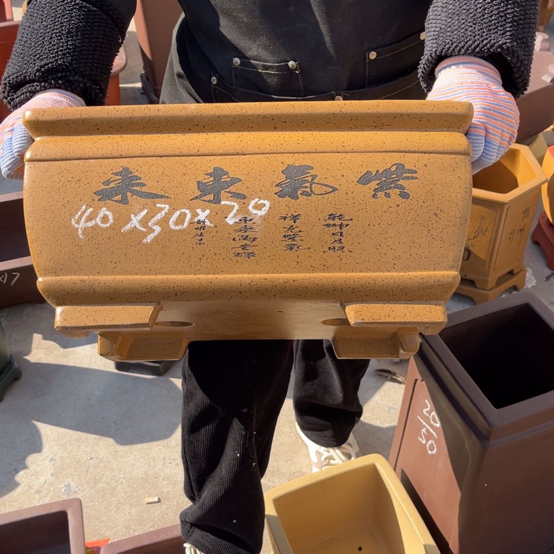 紫砂花盆盆景艺术