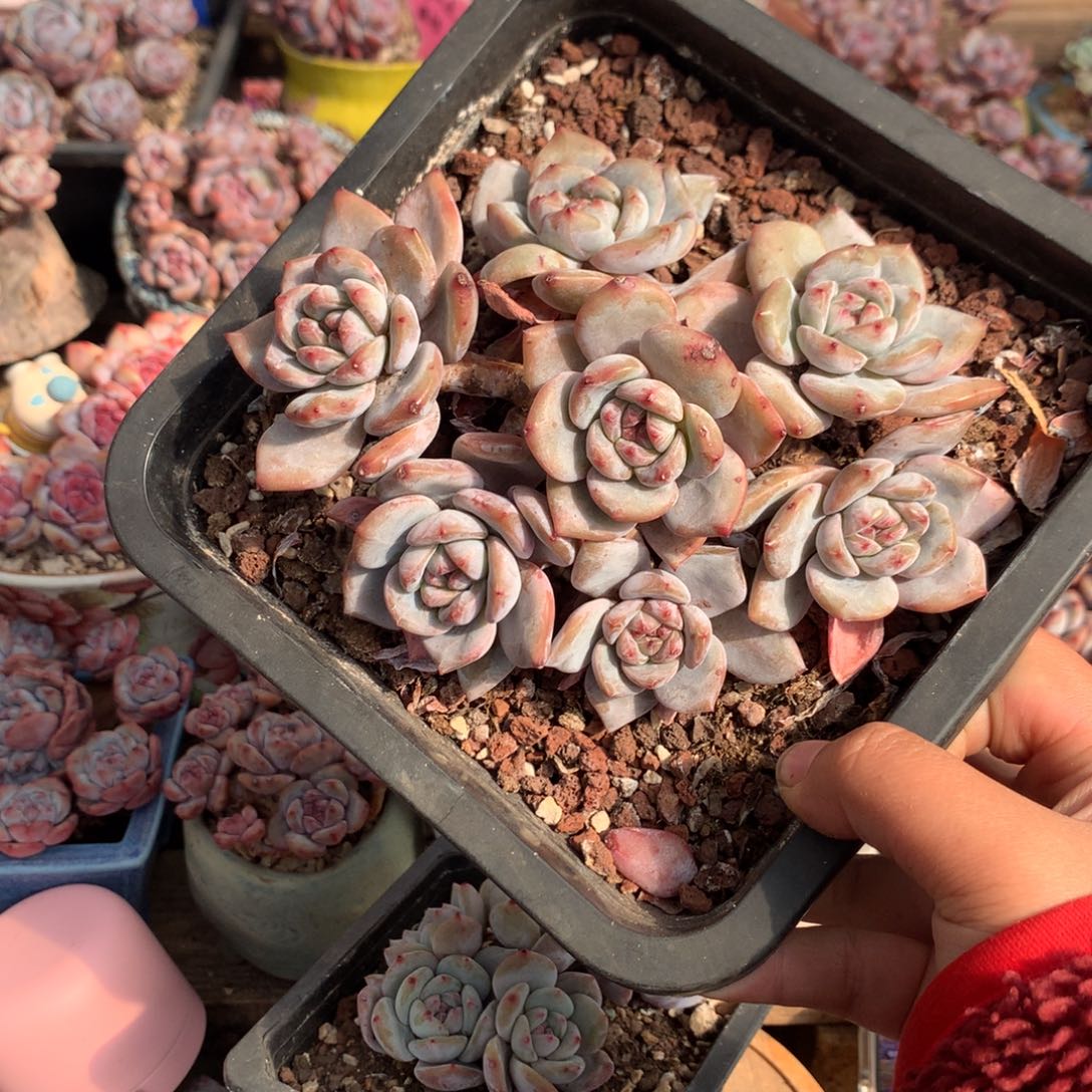 哈哈哈哈哈哈哈哈3