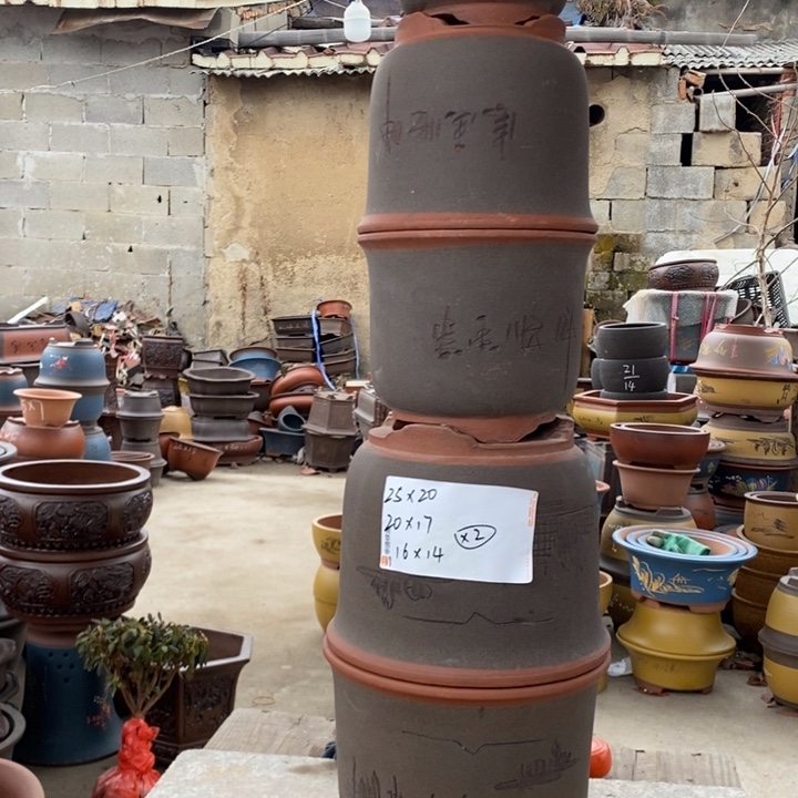 红陶你的人生是什么样子