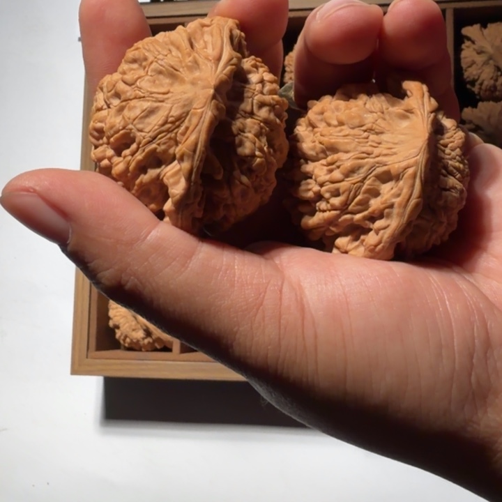 把件文玩核桃134号龙鼎官帽50mm以上