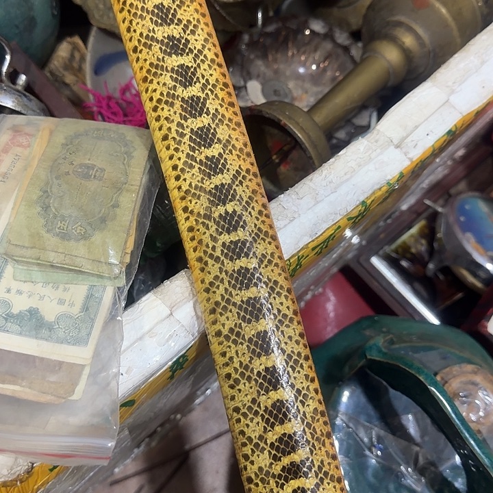 龙***爪我也不知道我为什么