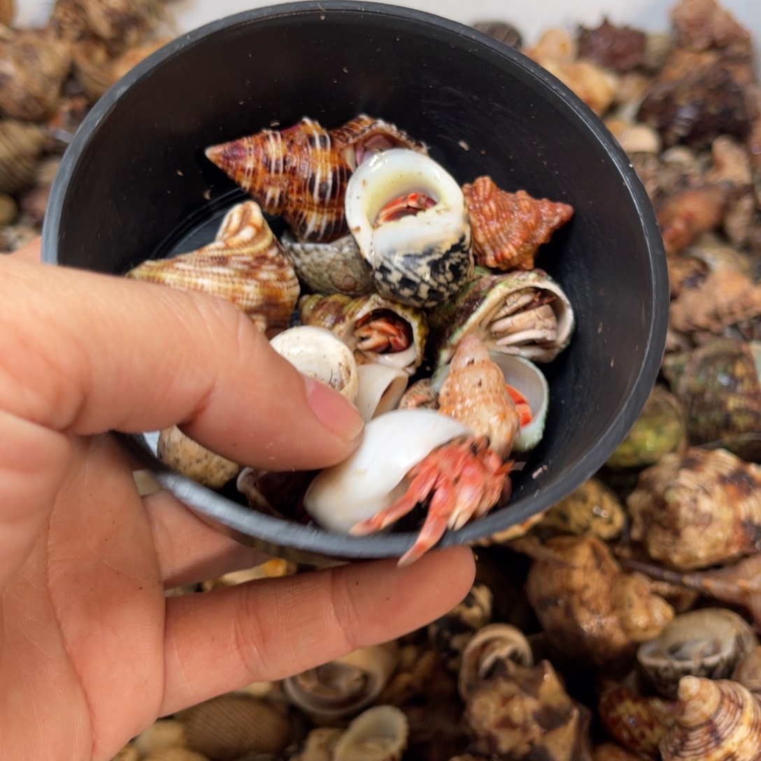 S***g小哥是真可爱哈哈好开心的