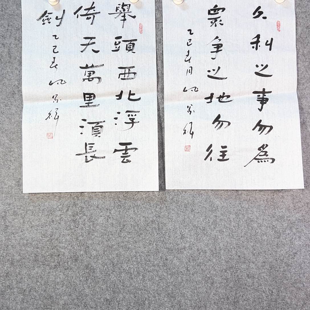 国画427 花鸟在这里生活很累