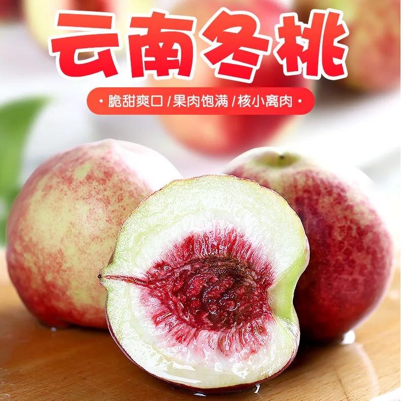 【云南大理】高山20年老树冬桃现摘现发脆冬桃脆甜桃子新鲜应季水果