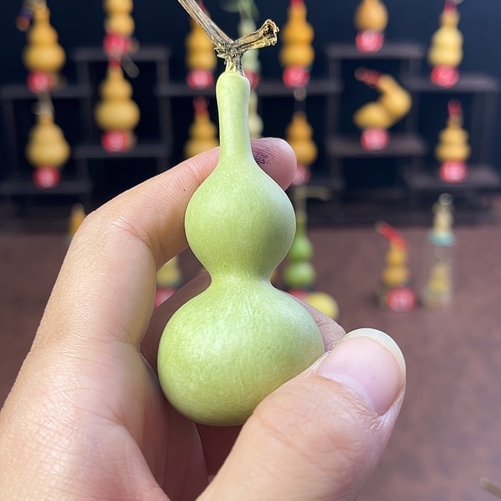 —***—葫芦鸡汤也不错了