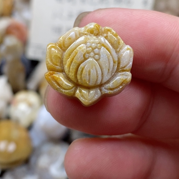 颈饰未镶嵌硅化珊瑚（珊瑚玉）有瑕 小