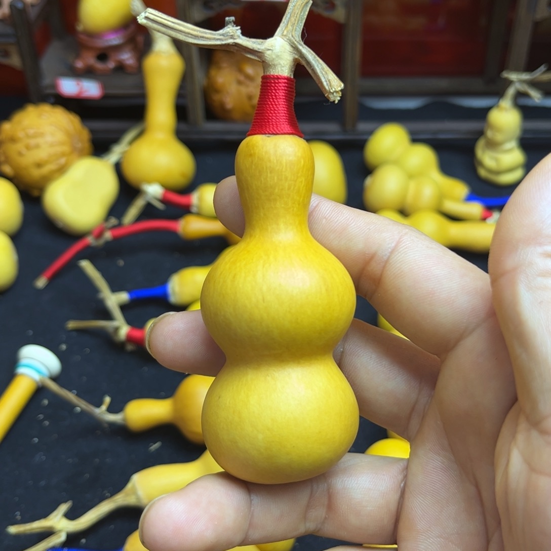 M***r葫芦等各种各样品种