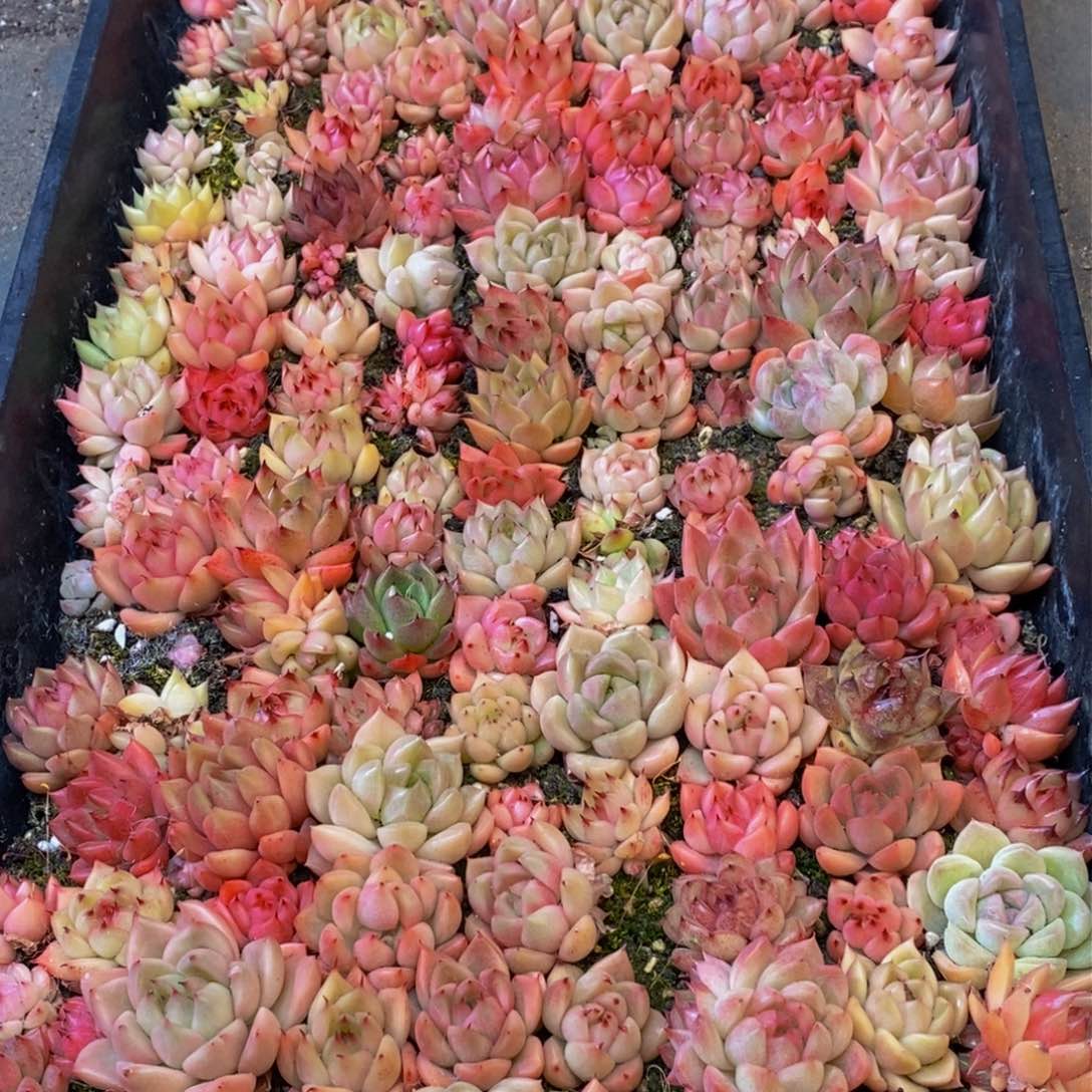 292的人在一起的时候就