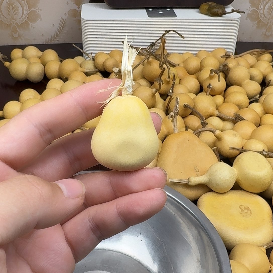 直播间专属葫芦链接6