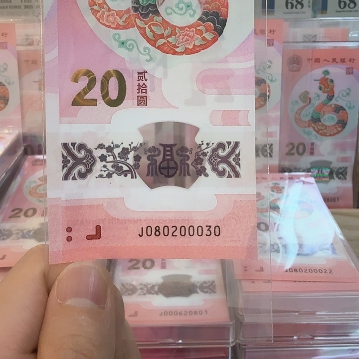 塑料小蛇钞号码080200030