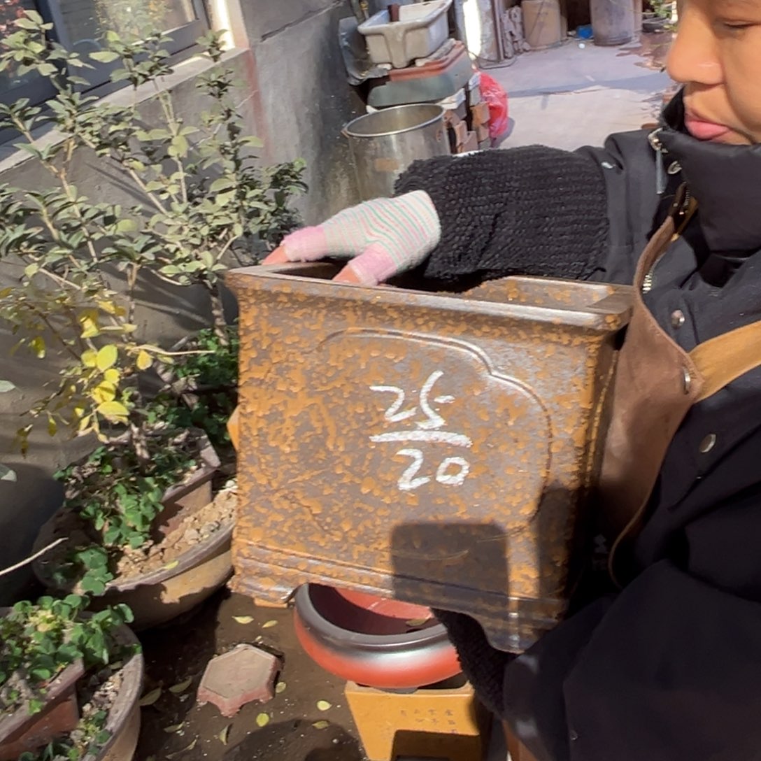 花盆紫砂盆景艺术