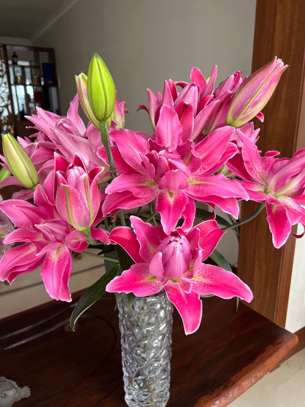 (花好月圆)紫莲重瓣香水百合花（地区颜色香味有差异介意慎拍）