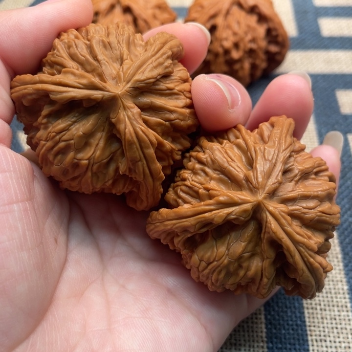 文***刘核桃白狮子47核桃