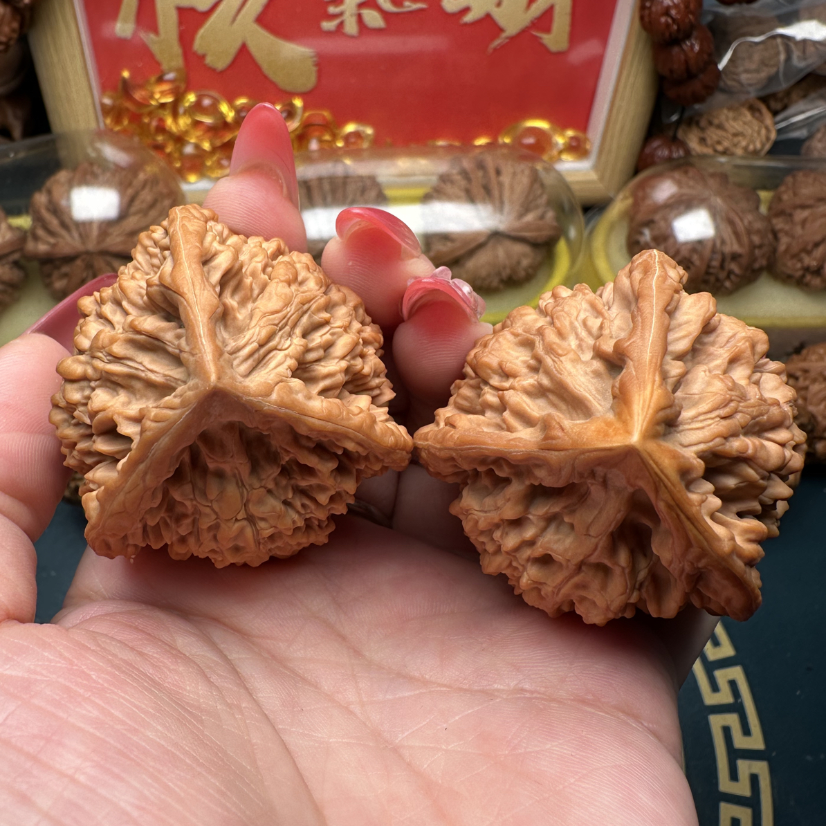 纹官帽狮子头三棱白奔白狮子三棱楼奔虎头三棱铁锤三棱官帽三棱