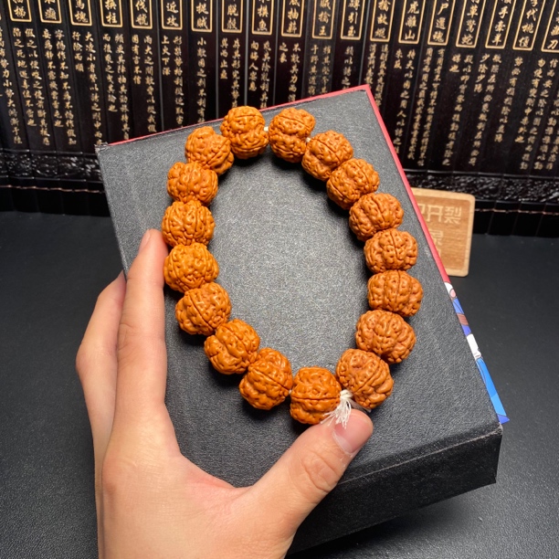 严选绝情帝王花终结者：14号