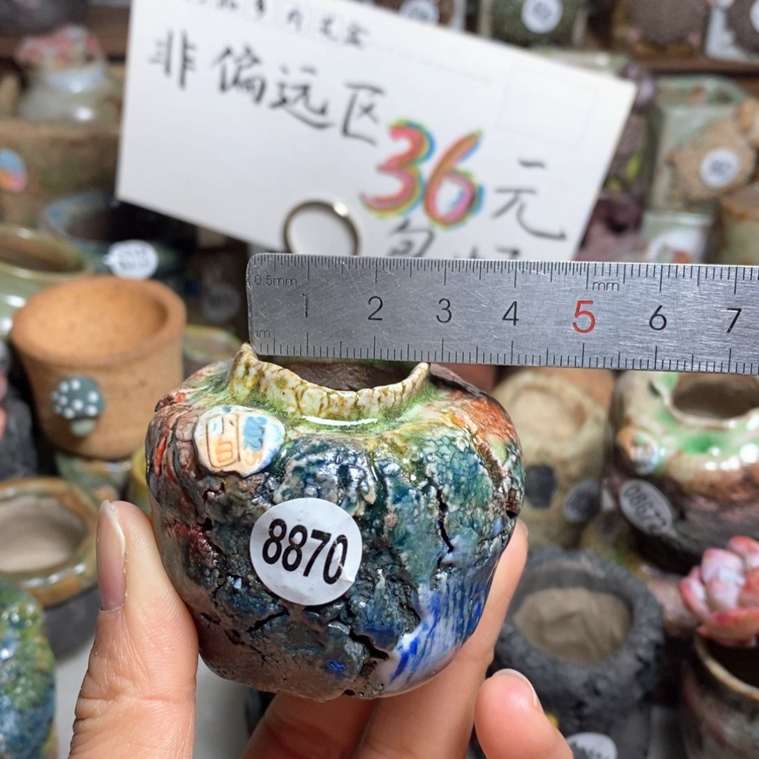 花盆拍3送一个小礼物