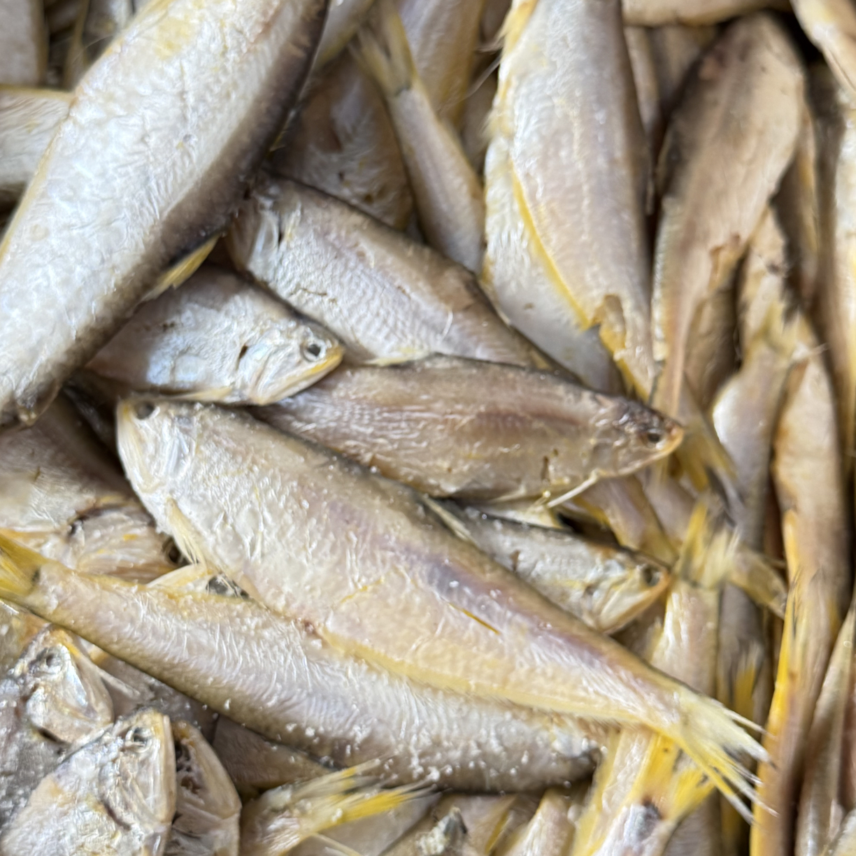 本海油扣鱼，不咸直接煎吃