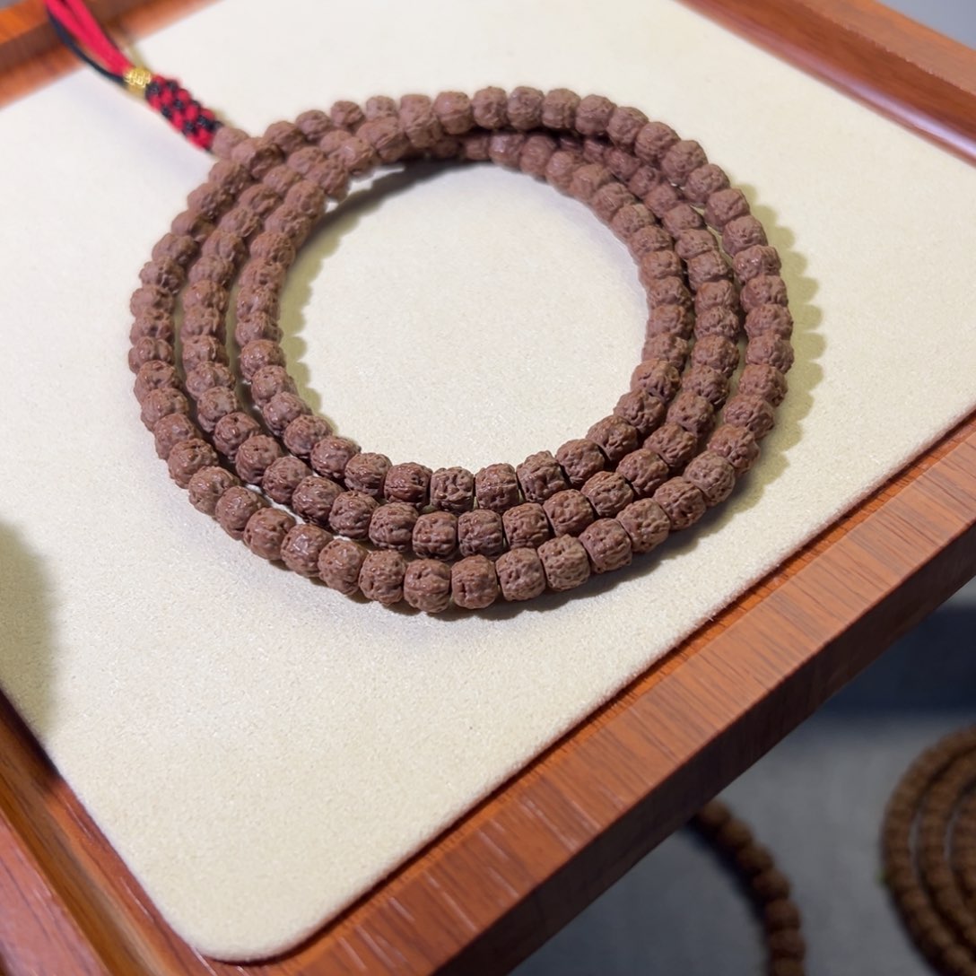 佛手小金刚五爪金龙龙切