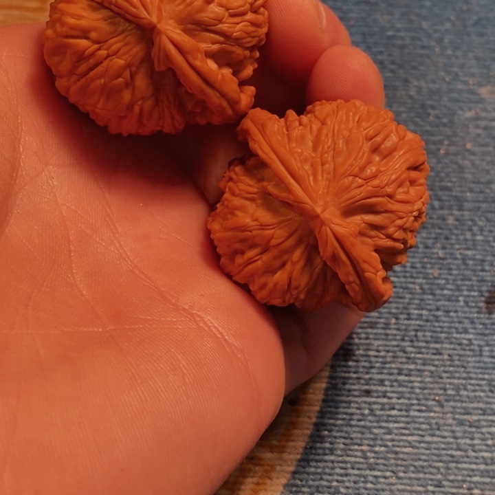 吊坠文玩核桃全品白狮子40