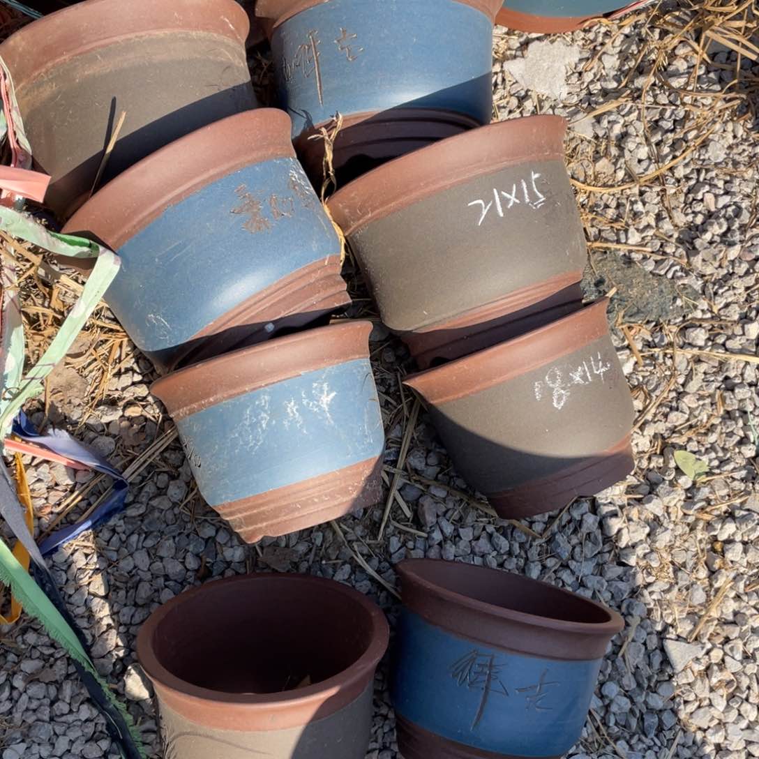 紫砂21*15四只 18*14四只 共八只