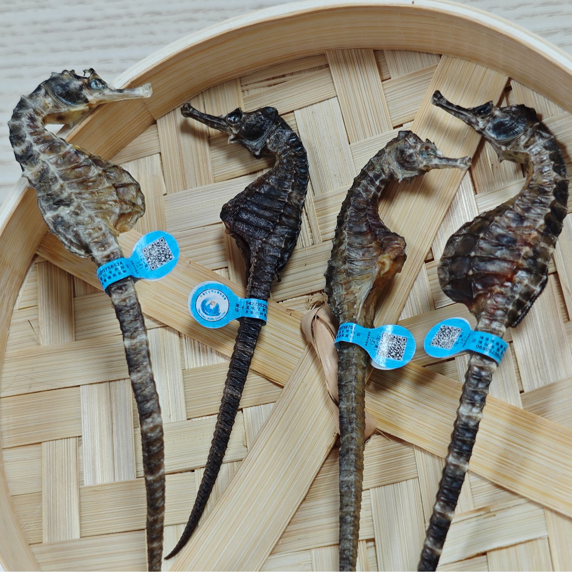 朝伟甄选 海马干