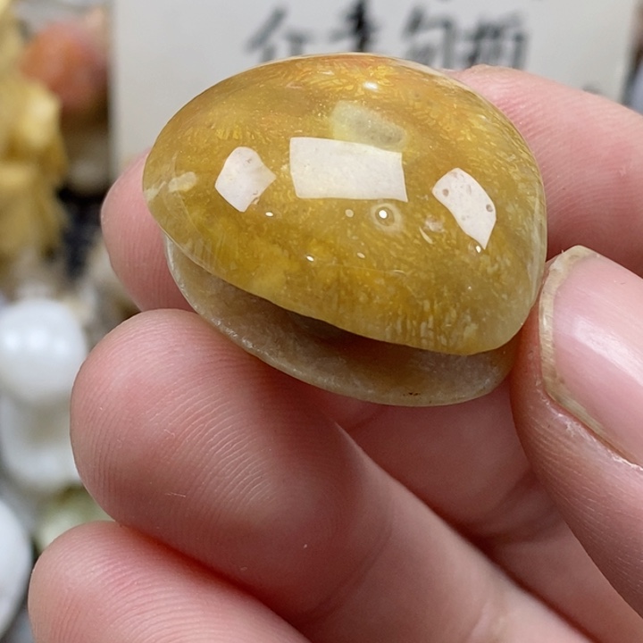 颈饰未镶嵌硅化珊瑚（珊瑚玉）有瑕 小