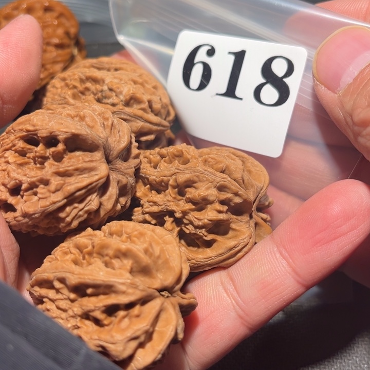 核桃111111111111111111