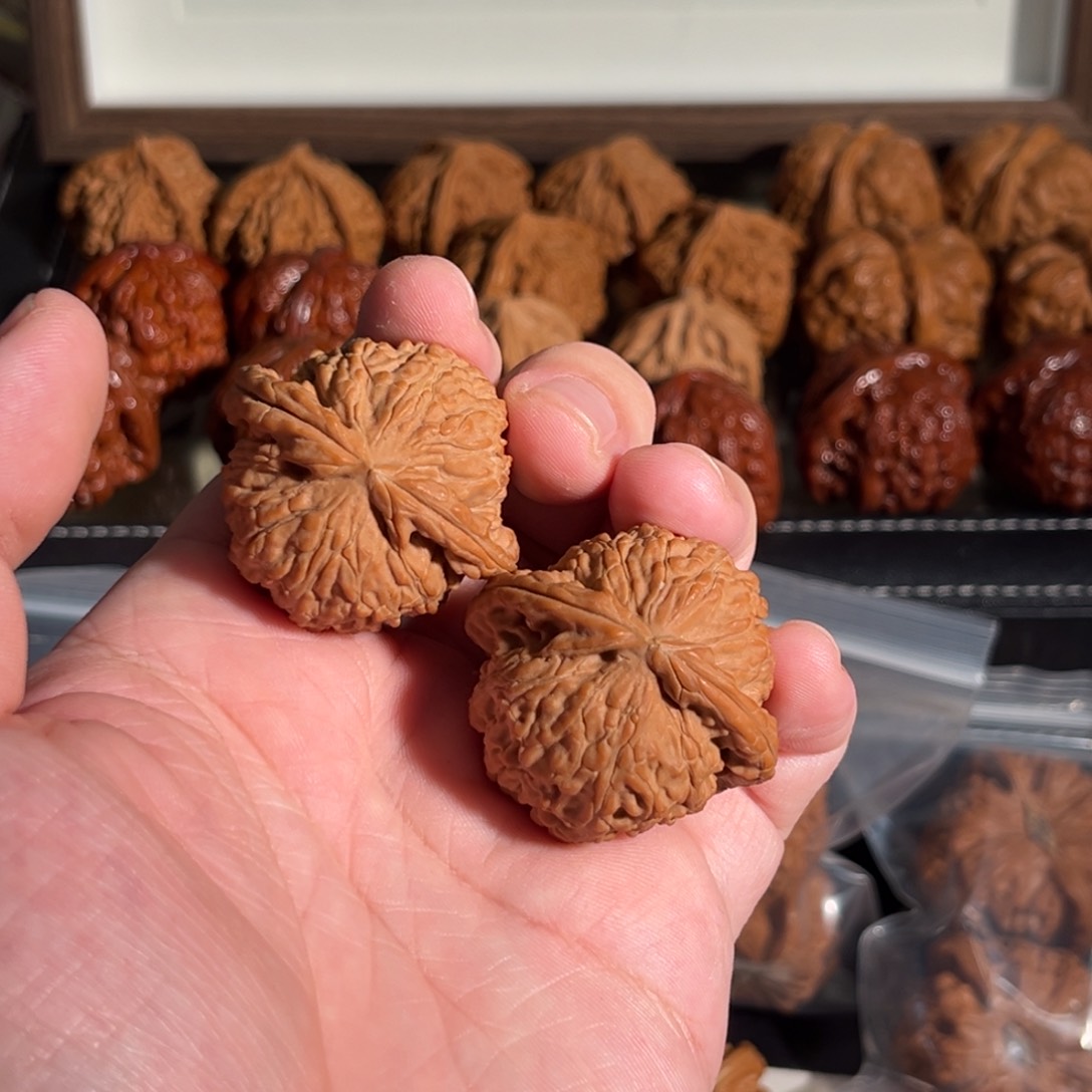 核桃手串/手链39全品球白